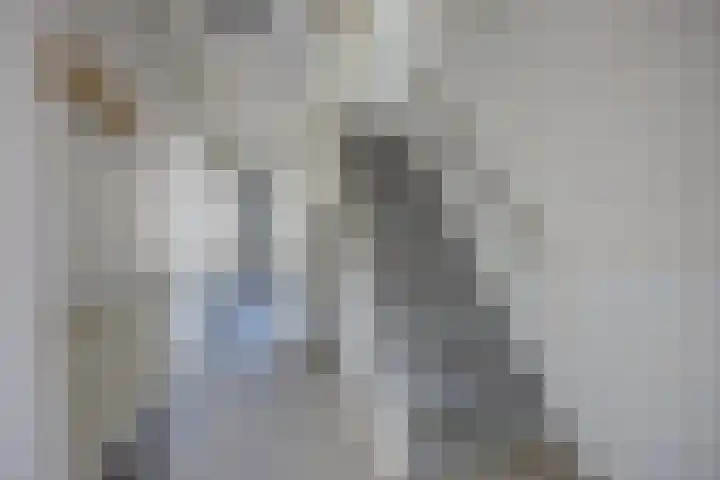 Cederstraat 23 Etten-Leur thumbnail 7