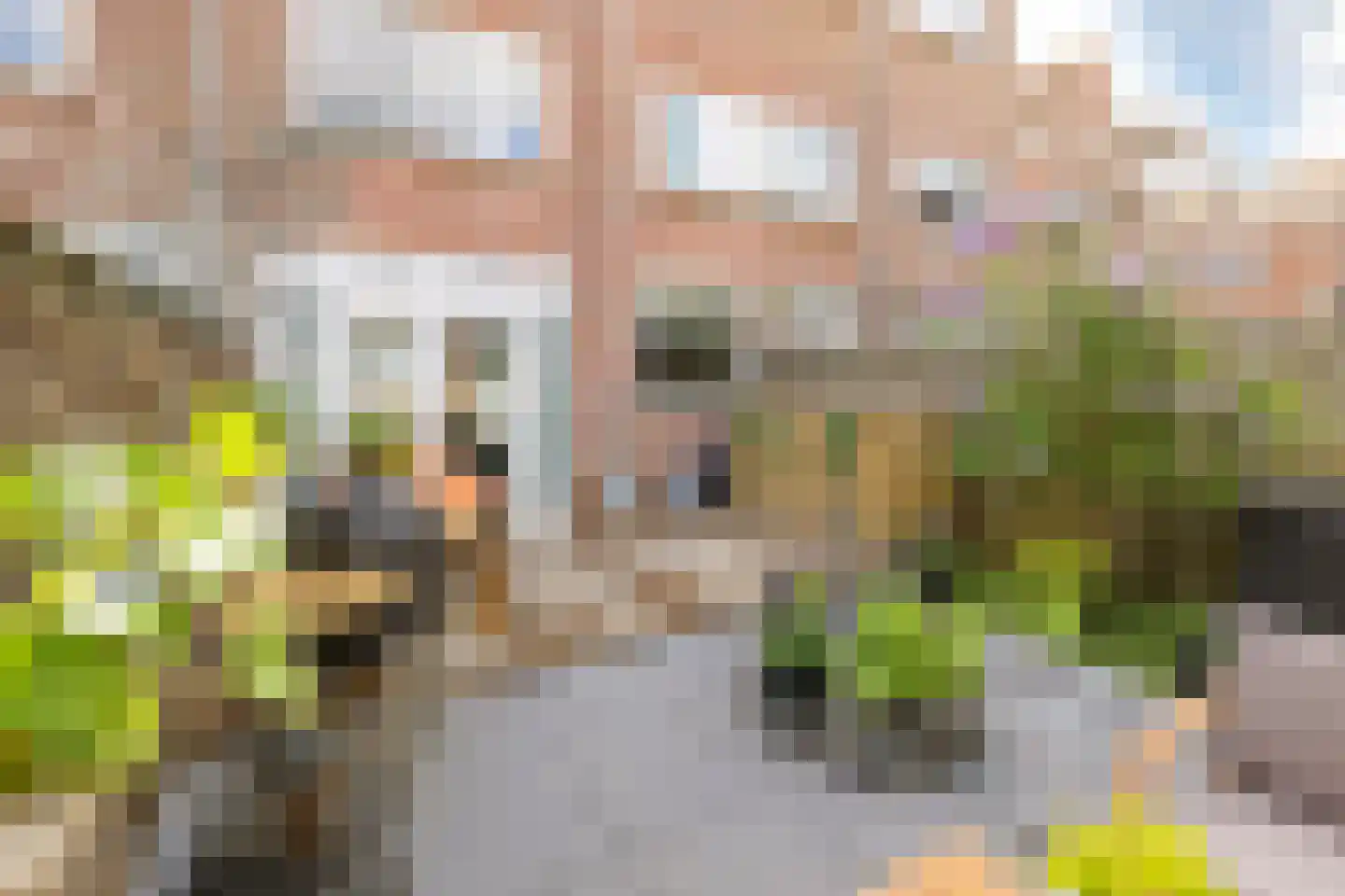 Cederstraat 27 IJmuiden thumbnail 18