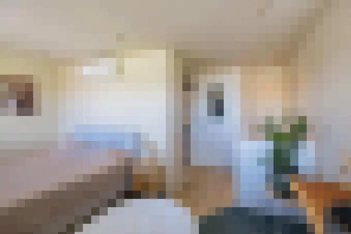 Cederstraat 27 IJmuiden thumbnail 34