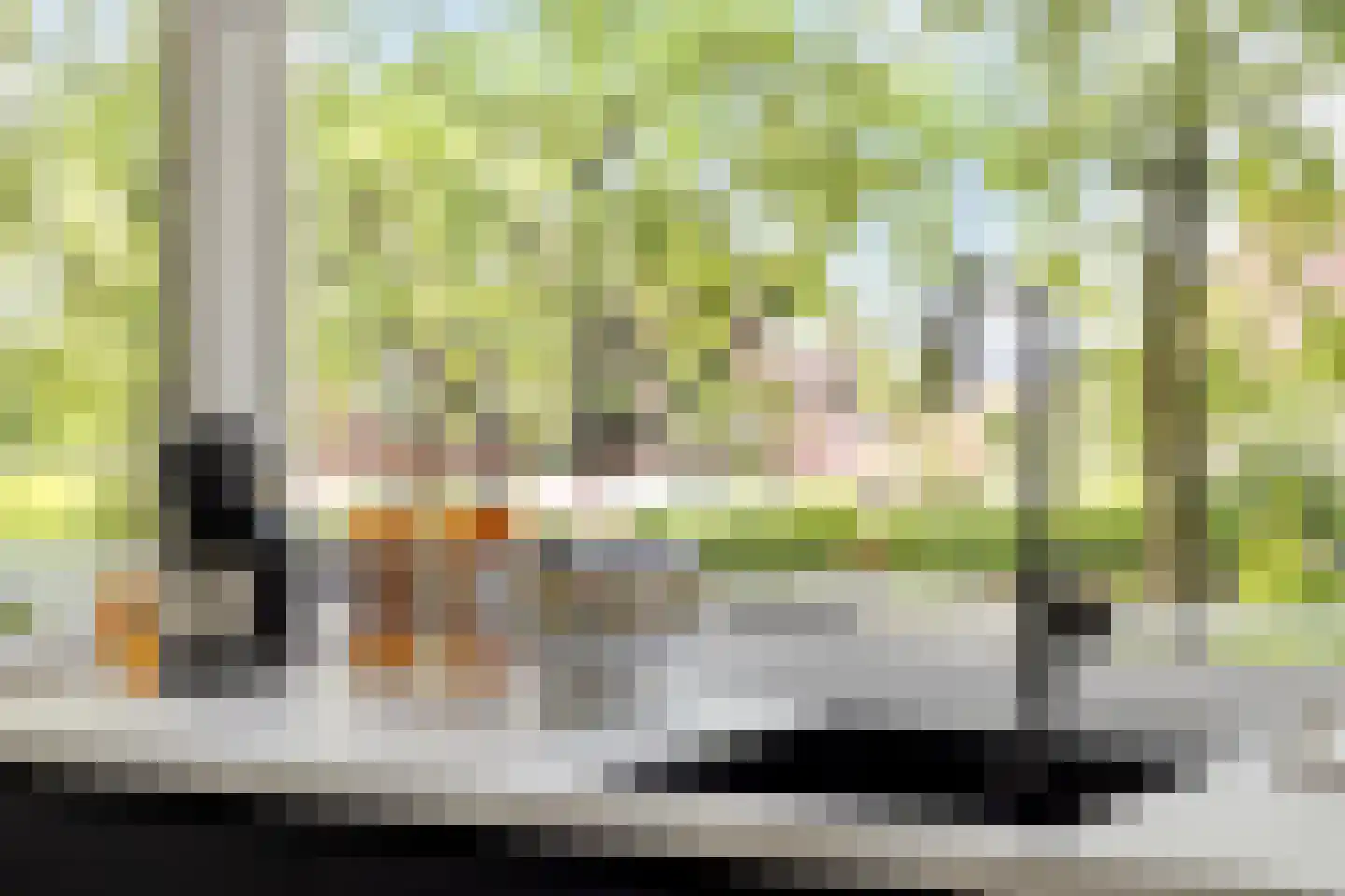 Cederstraat 27 Tilburg thumbnail 14