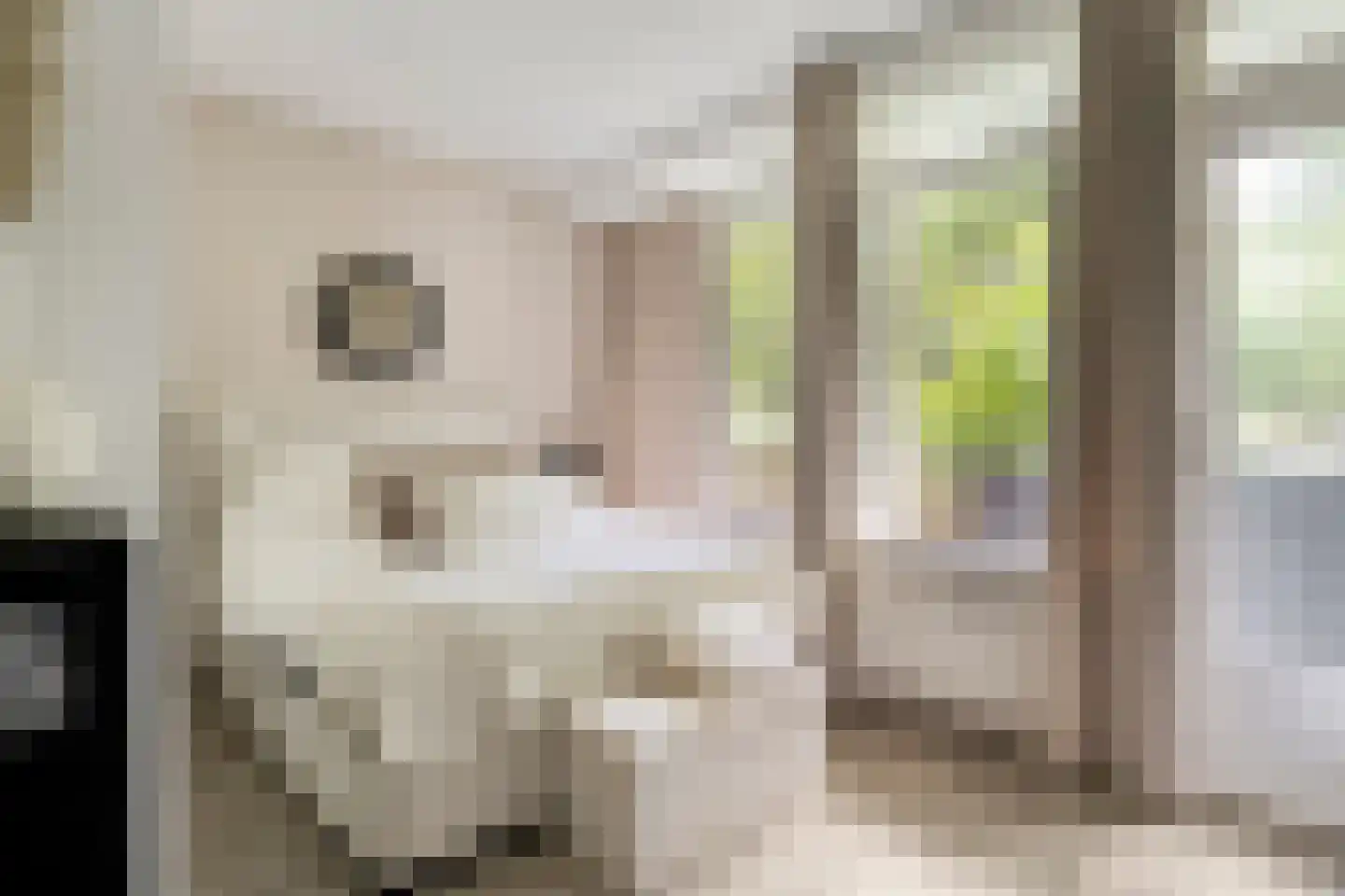 Cederstraat 27 Tilburg thumbnail 18