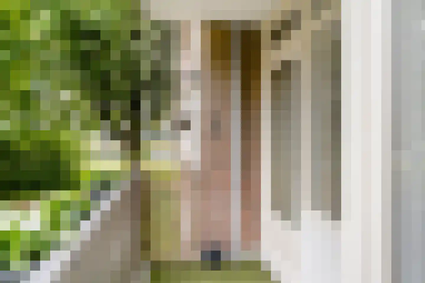 Cederstraat 27 Tilburg thumbnail 21