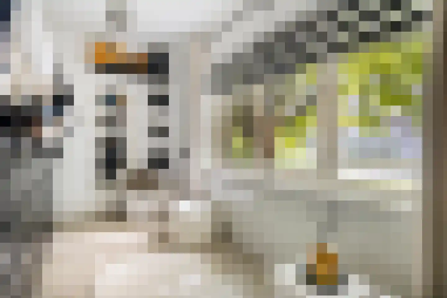 Cederstraat 27 Tilburg thumbnail 26
