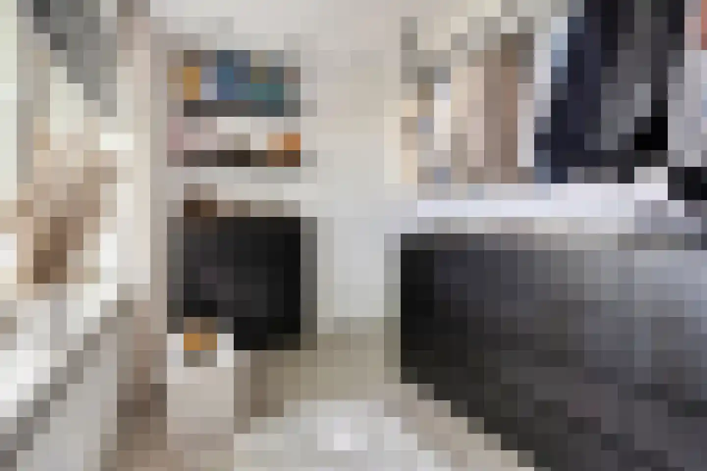 Cederstraat 27 Tilburg thumbnail 27