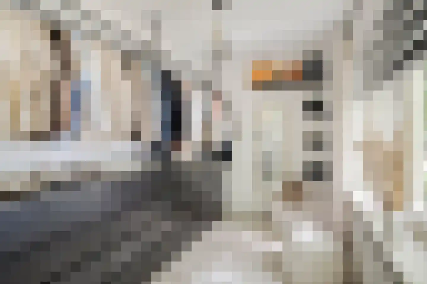 Cederstraat 27 Tilburg thumbnail 28