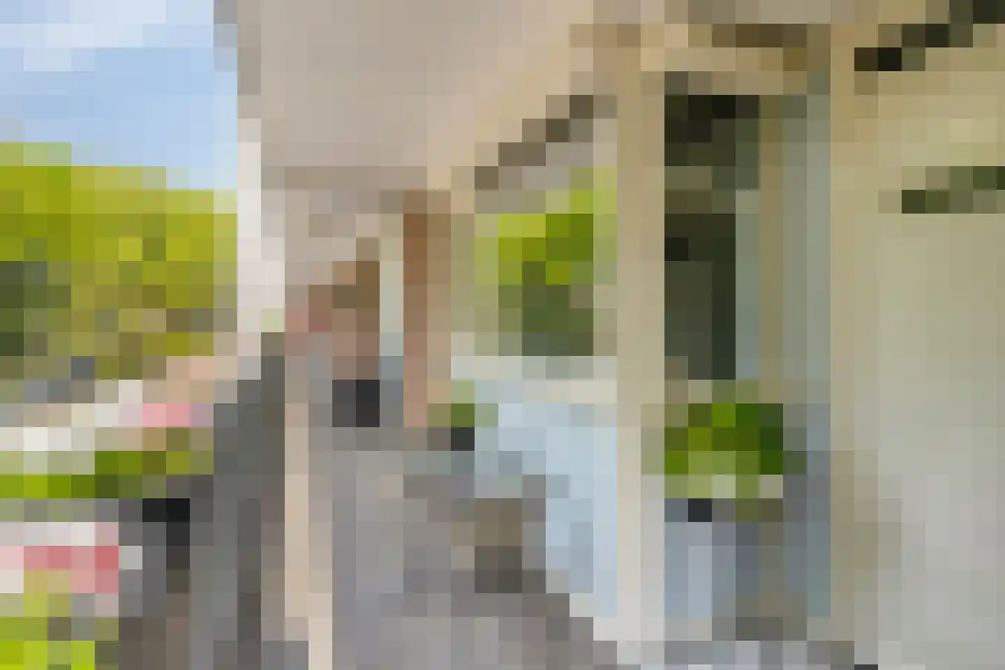 Cederstraat 27 Tilburg thumbnail 29