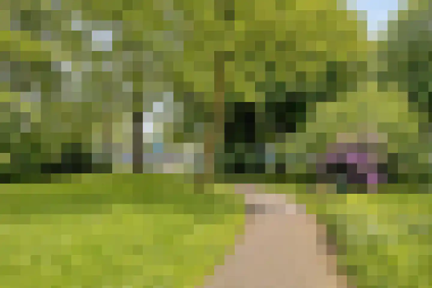 Cederstraat 27 Tilburg thumbnail 36