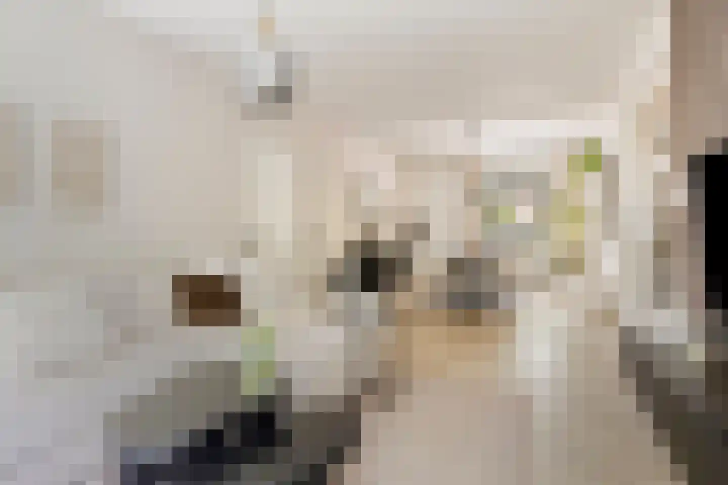 Cederstraat 27 Tilburg thumbnail 4