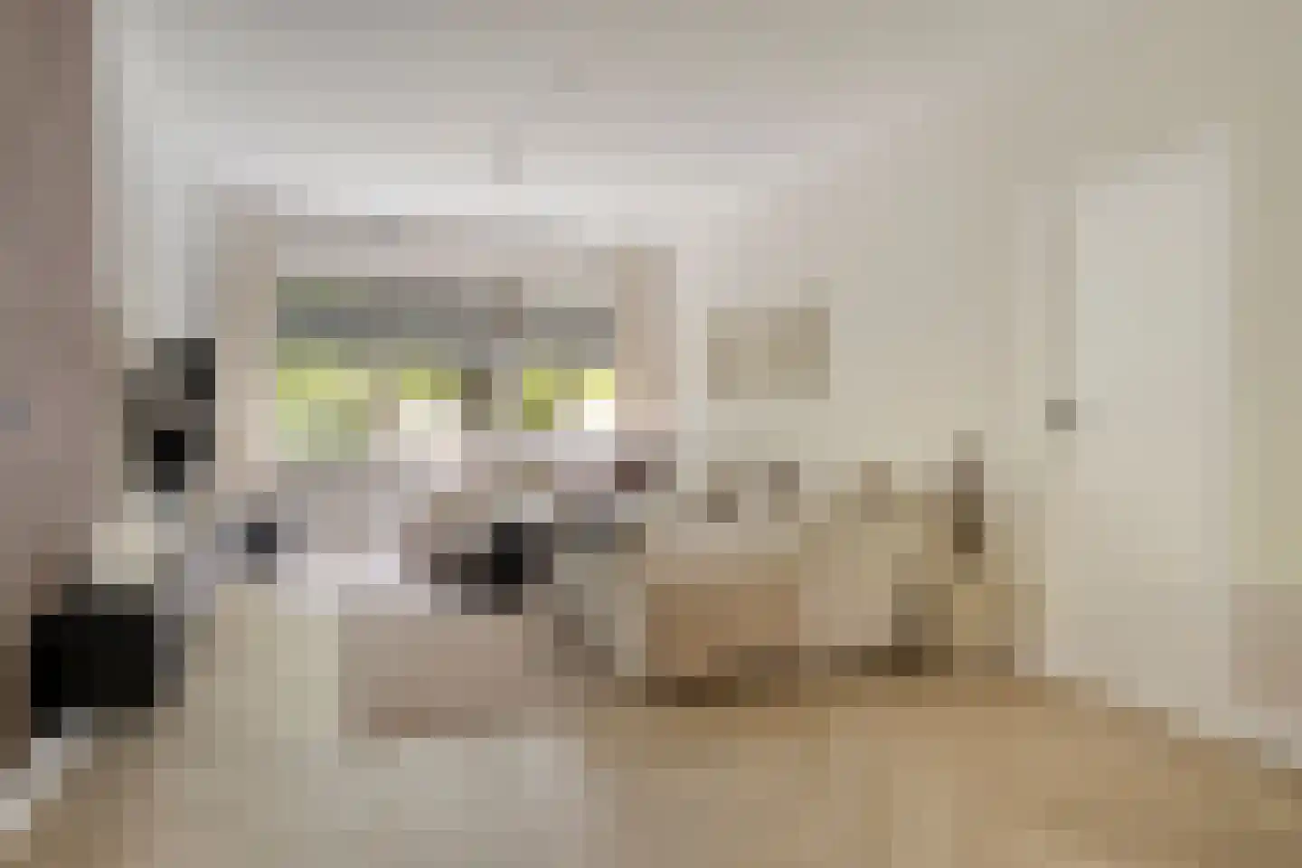 Cederstraat 27 Tilburg thumbnail 5