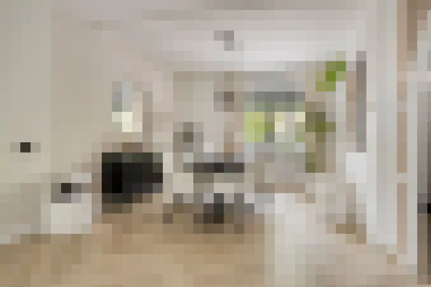 Cederstraat 27 Tilburg thumbnail 6