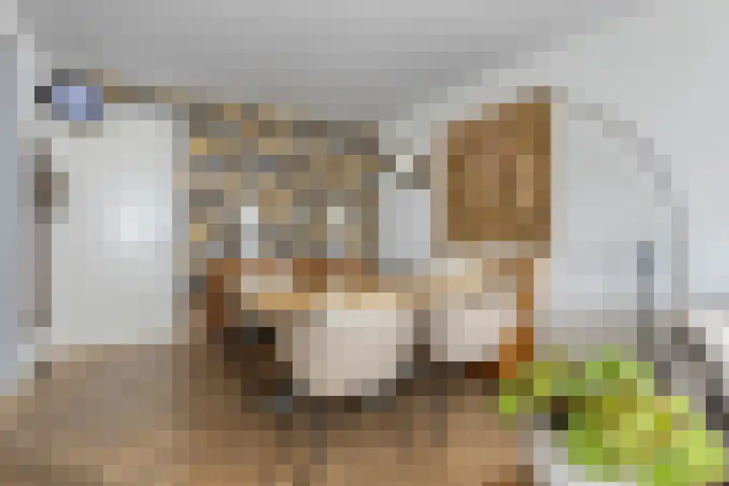 Cederstraat 29 Tilburg thumbnail 14