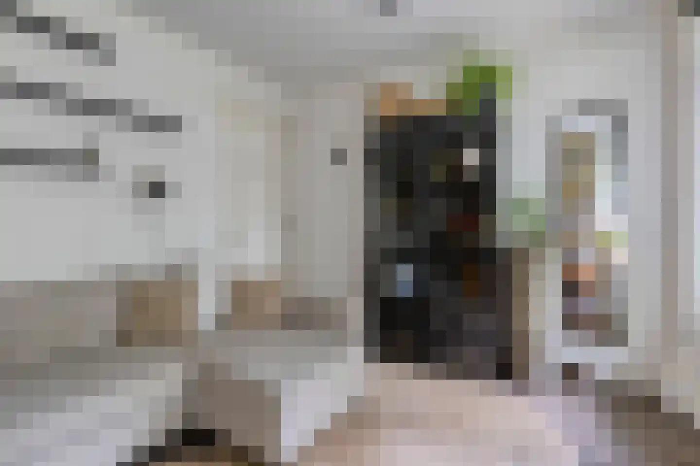 Cederstraat 29 Tilburg thumbnail 22