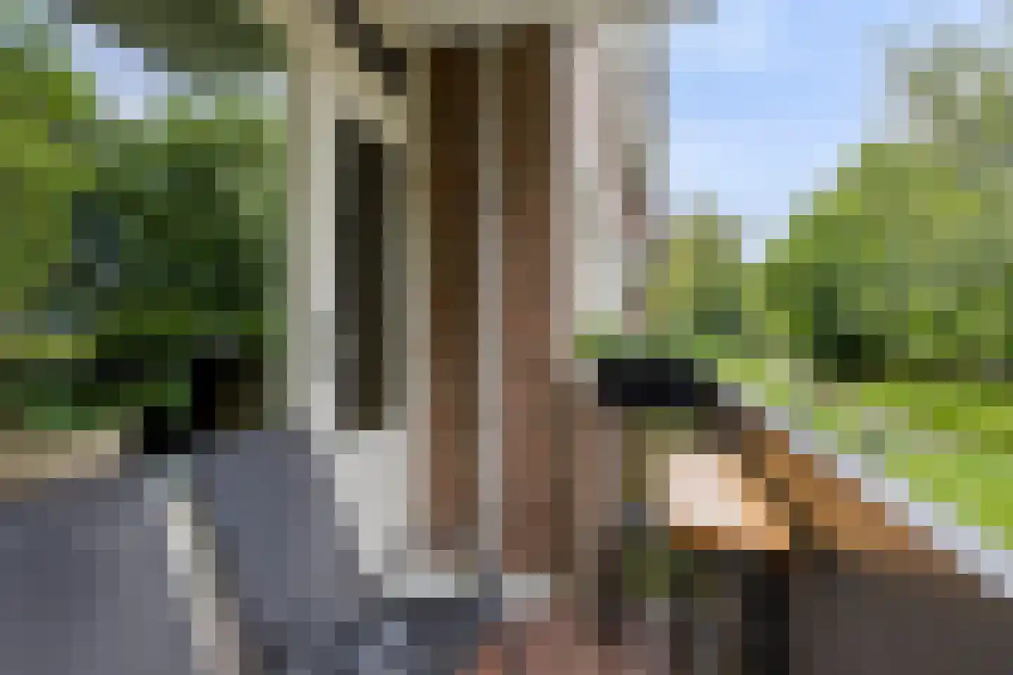 Cederstraat 29 Tilburg thumbnail 24