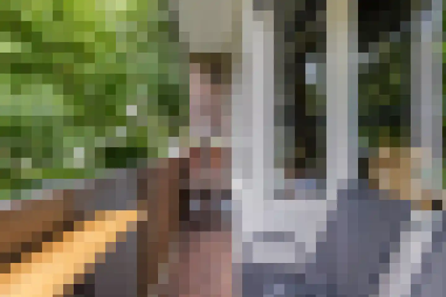 Cederstraat 29 Tilburg thumbnail 25