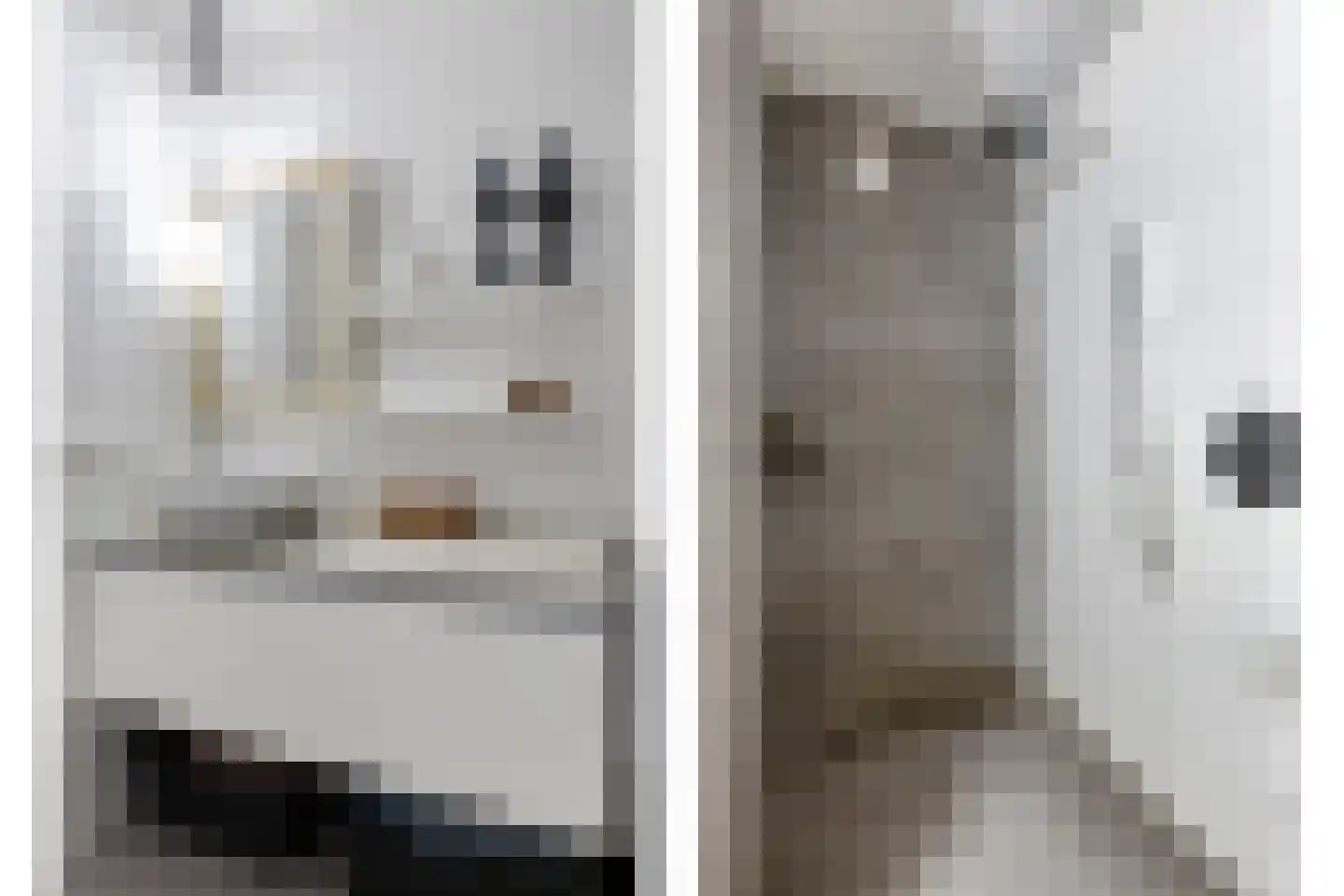 Cederstraat 29 Tilburg thumbnail 28