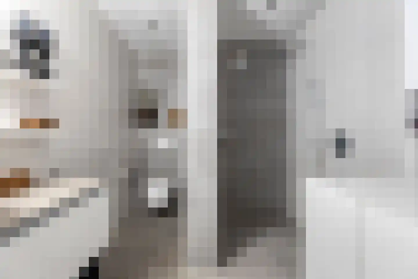 Cederstraat 29 Tilburg thumbnail 4