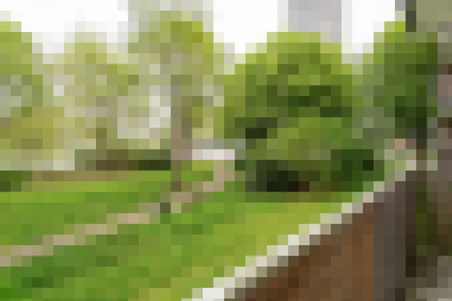 Cederstraat 31 Tilburg thumbnail 20