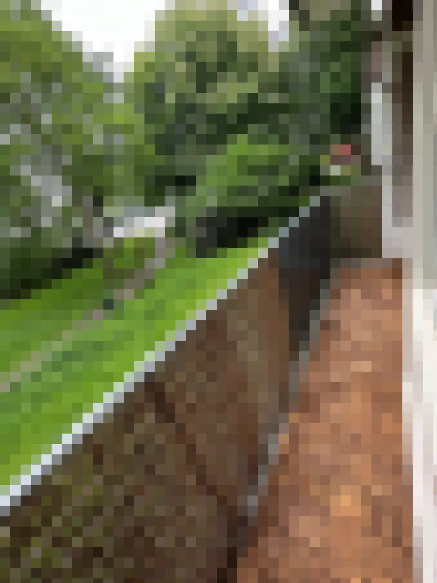 Cederstraat 31 Tilburg thumbnail 20