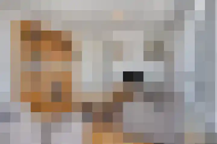 Cederstraat 4 D Drunen thumbnail 11
