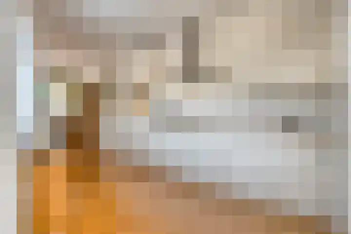 Cederstraat 4 D Drunen thumbnail 17
