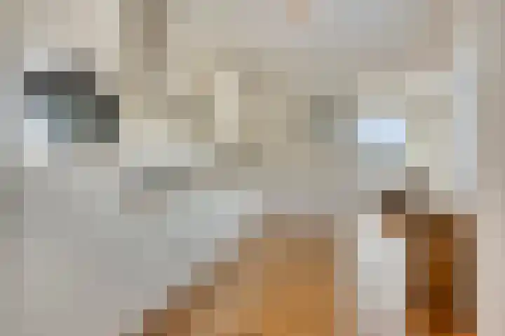 Cederstraat 4 D Drunen thumbnail 18