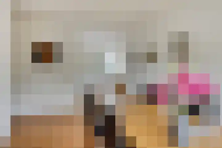Cederstraat 4 D Drunen thumbnail 20