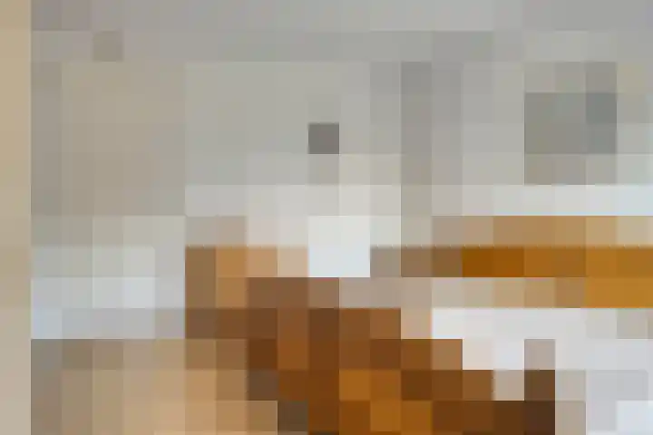 Cederstraat 4 D Drunen thumbnail 23