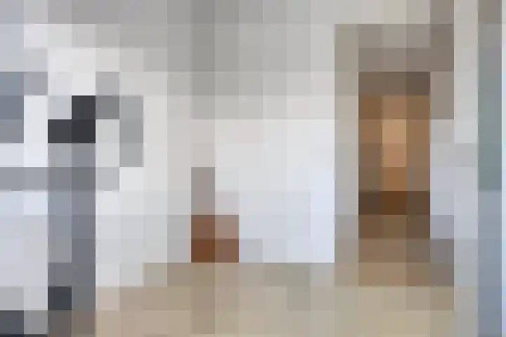 Cederstraat 4 D Drunen thumbnail 29