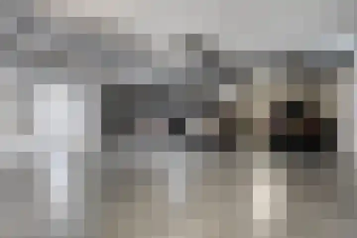 Cederstraat 4 D Drunen thumbnail 31