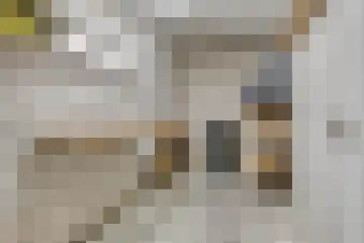 Cederstraat 4 D Drunen thumbnail 32