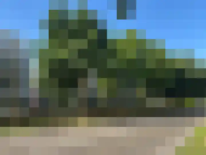 Cederstraat 4 D Drunen thumbnail 36