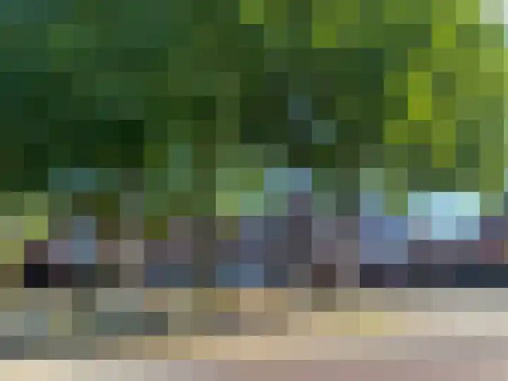 Cederstraat 4 D Drunen thumbnail 37
