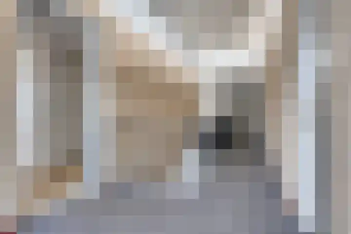 Cederstraat 4 D Drunen thumbnail 8