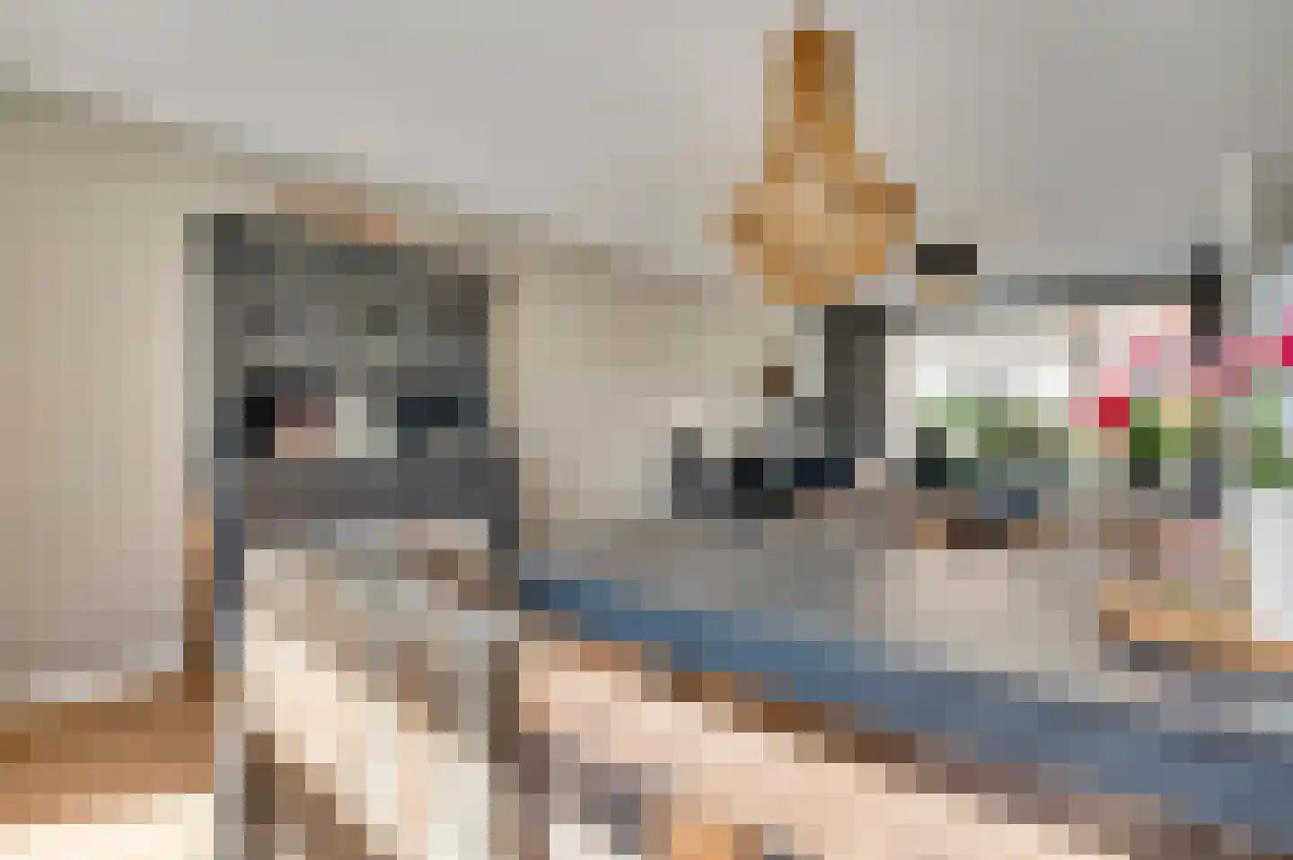 Cederstraat 5 Maasbree thumbnail 16