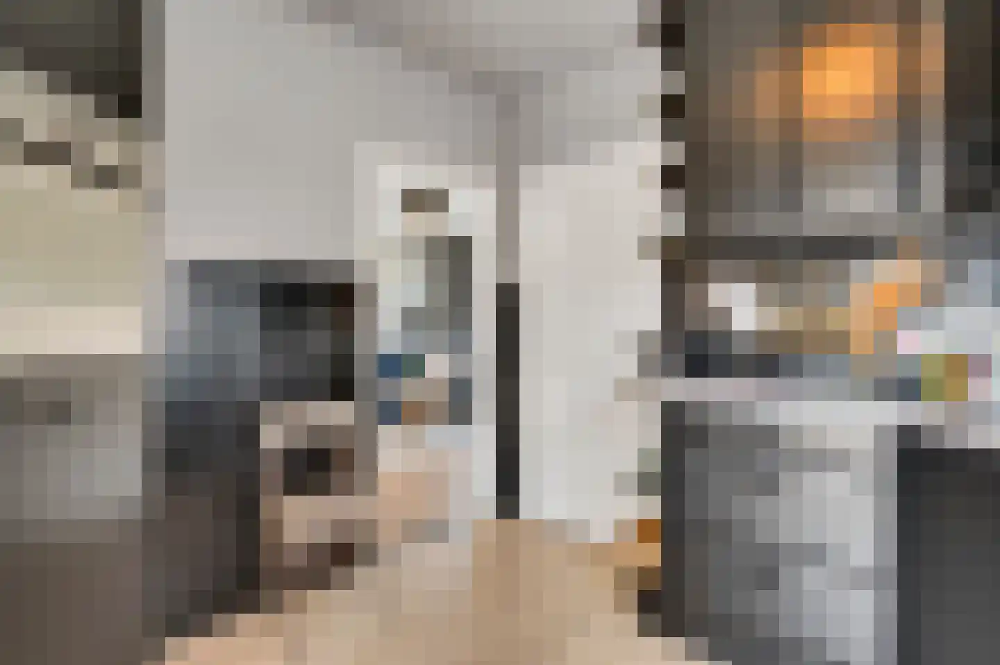 Cederstraat 5 Maasbree thumbnail 18