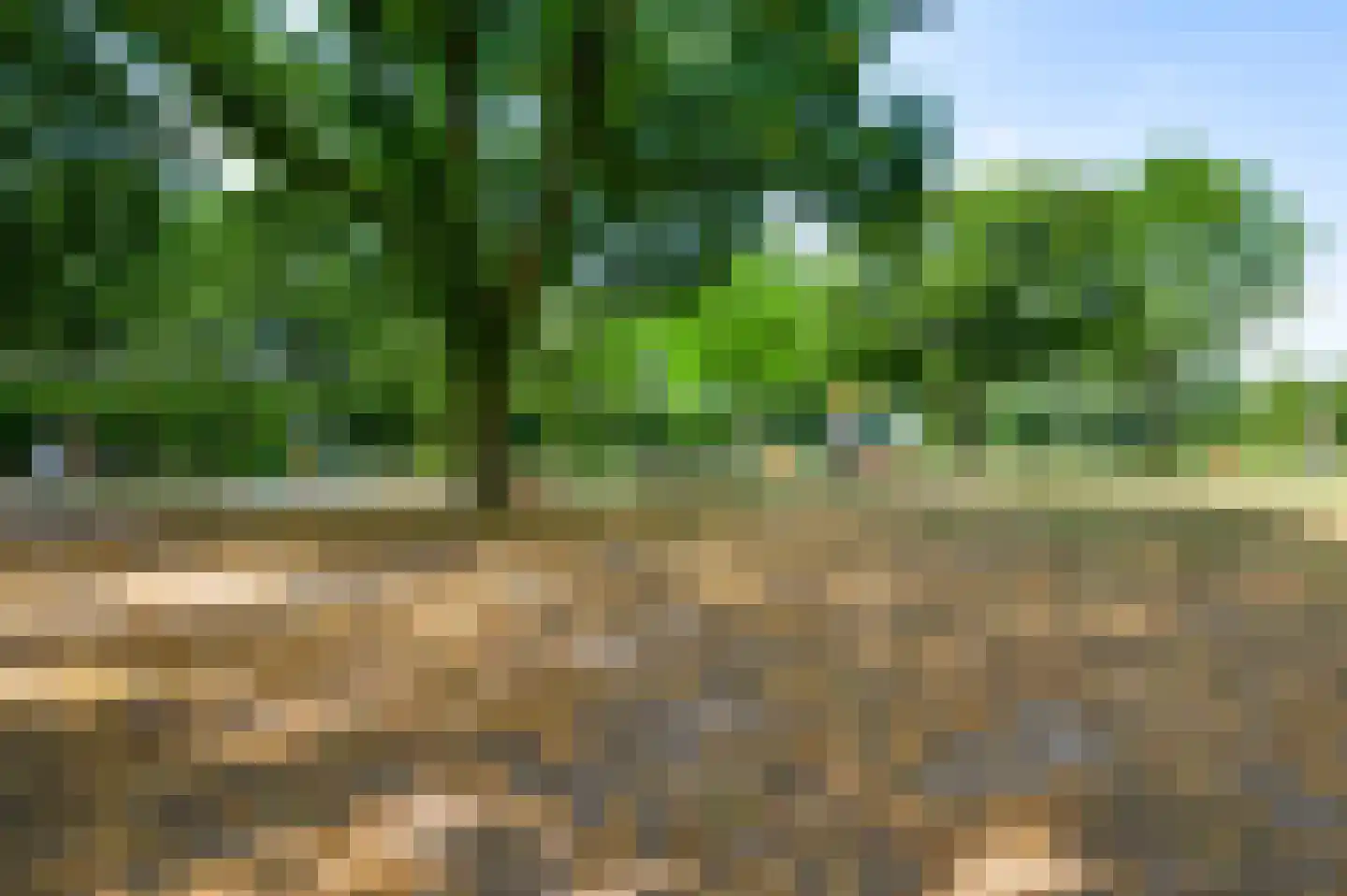 Cederstraat 5 Maasbree thumbnail 27