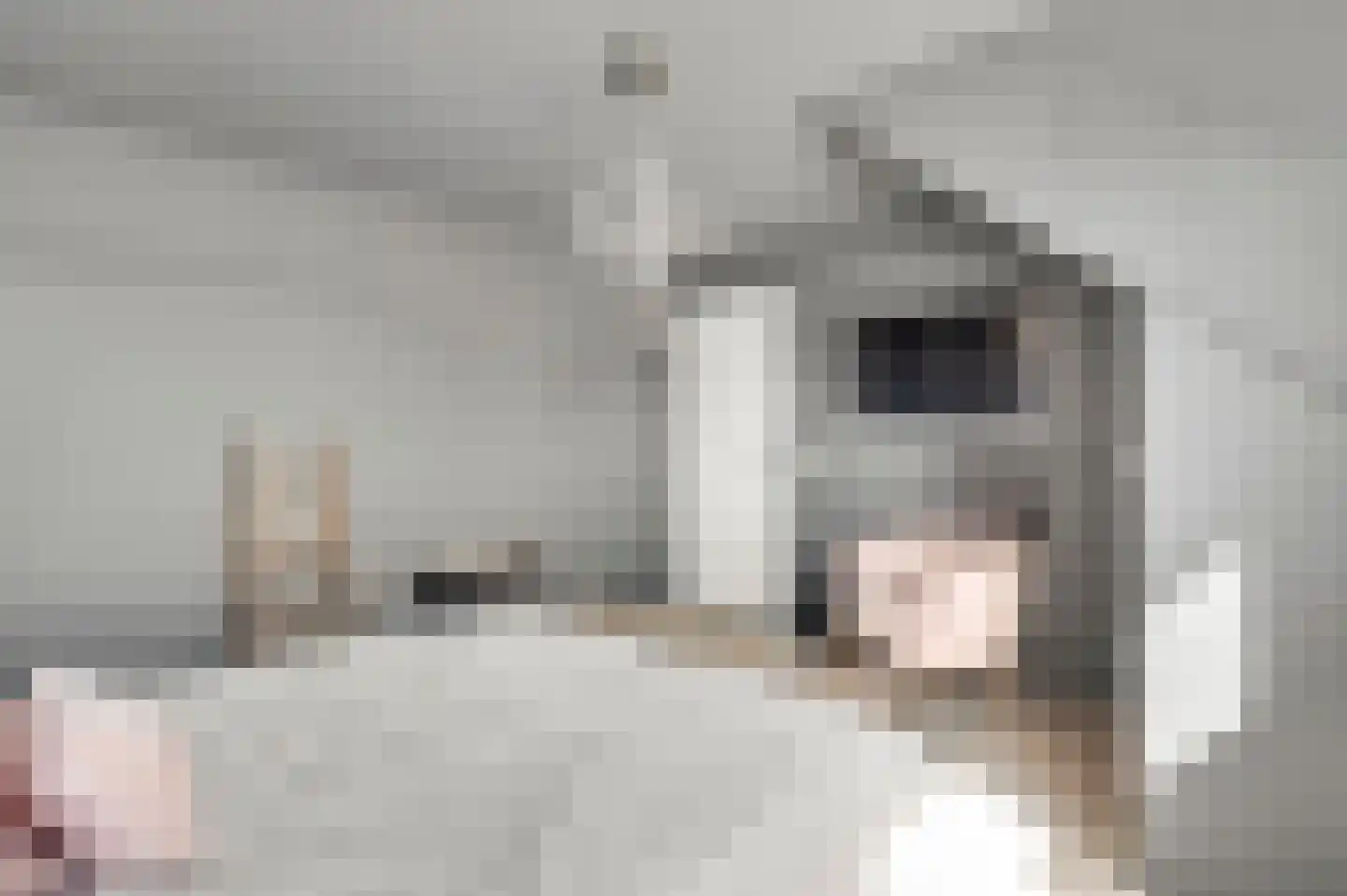 Cederstraat 5 Maasbree thumbnail 30