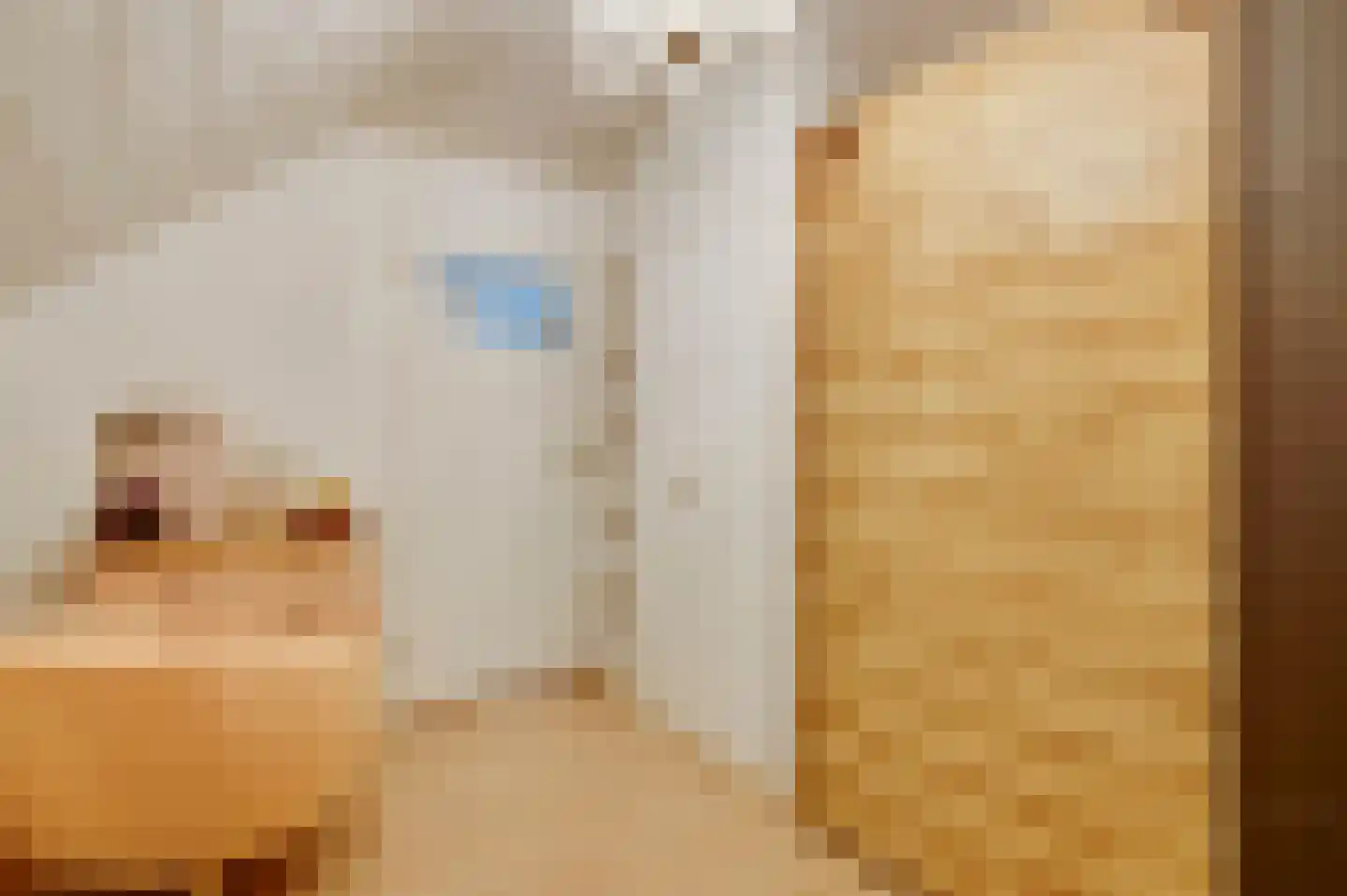 Cederstraat 5 Maasbree thumbnail 33