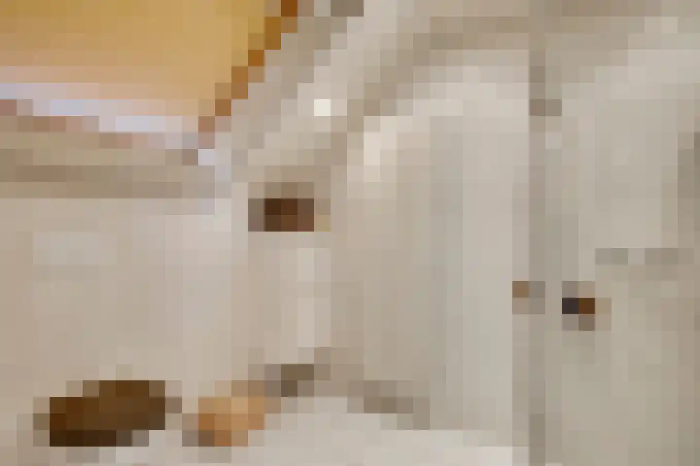 Cederstraat 5 Maasbree thumbnail 34