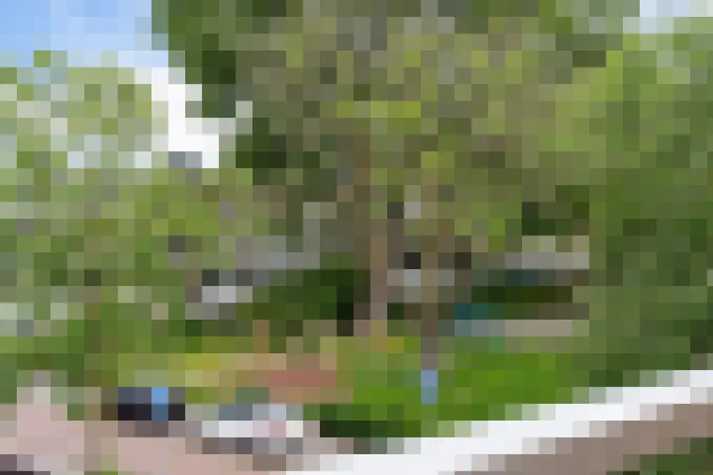 Cederstraat 53 Alphen aan den Rijn thumbnail 29