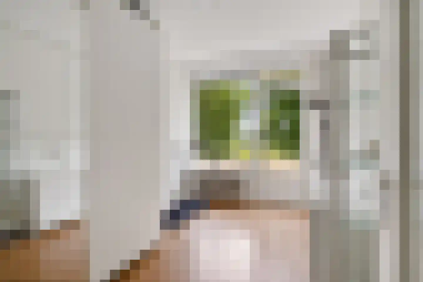 Cederstraat 53 Alphen aan den Rijn thumbnail 33