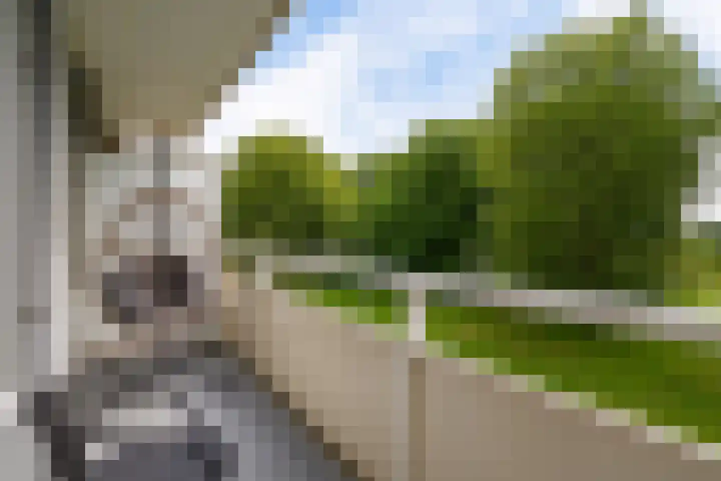 Cederstraat 53 Alphen aan den Rijn thumbnail 35