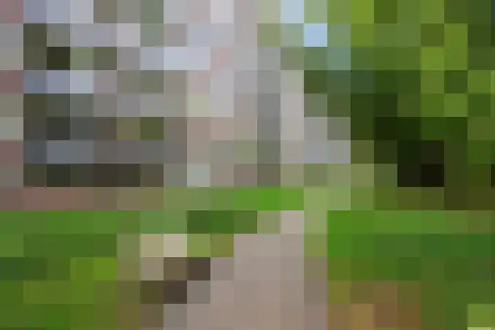 Cederstraat 57 Tilburg thumbnail 34