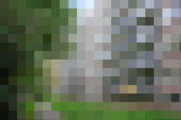 Cederstraat 57 Tilburg thumbnail 36