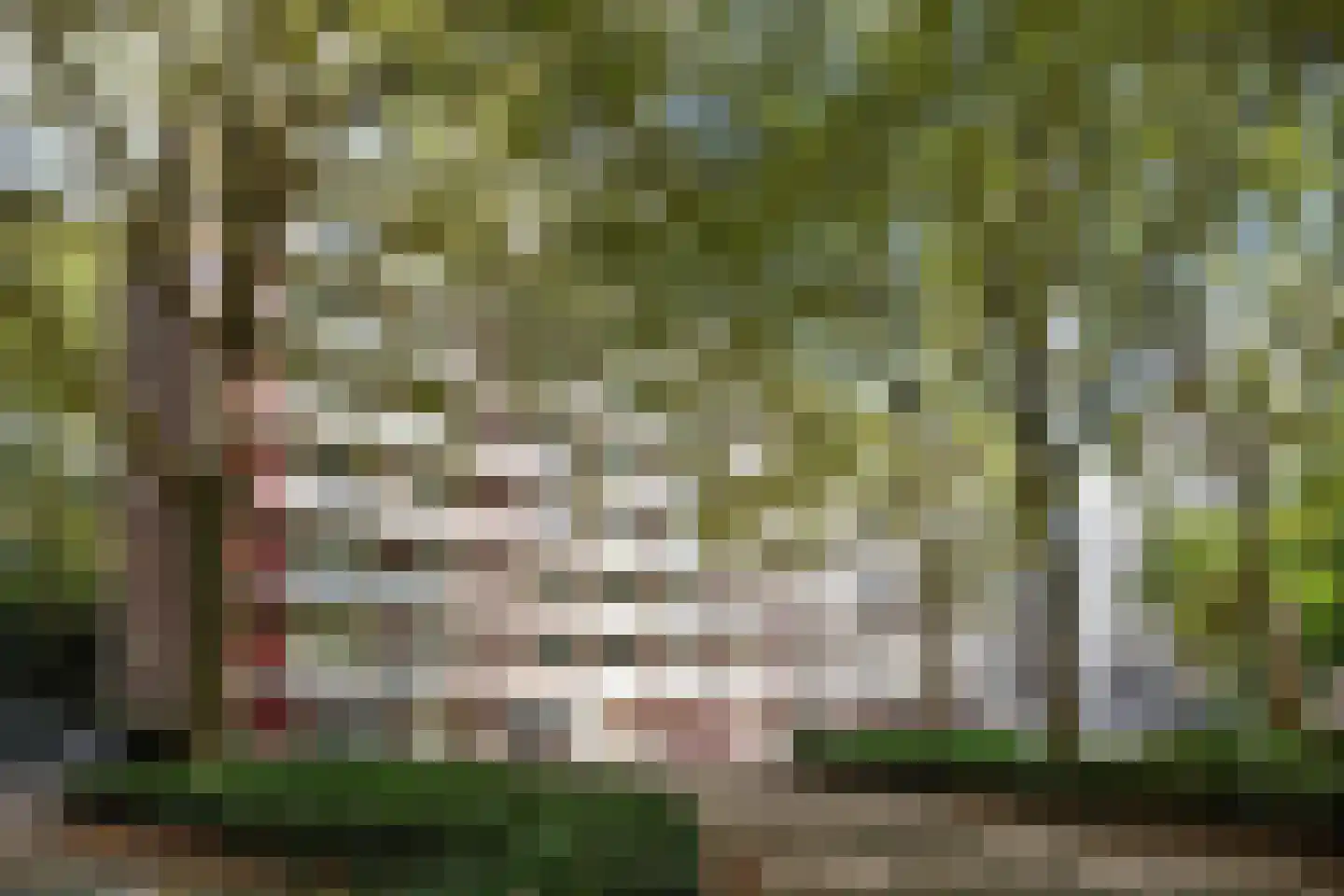 Cederstraat 57 Tilburg thumbnail 40