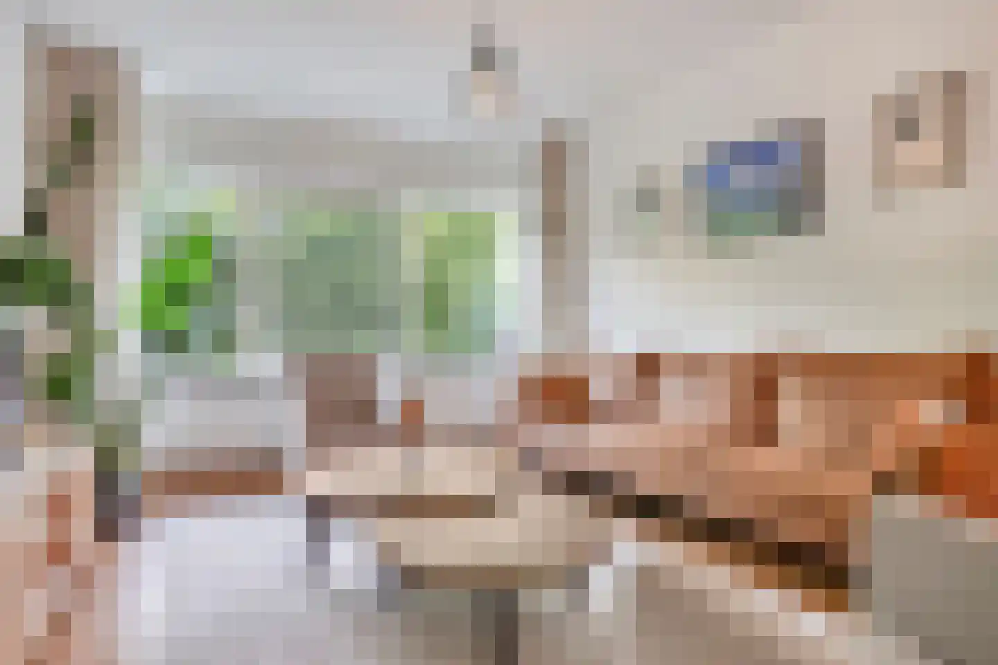 Cederstraat 57 Tilburg thumbnail 7