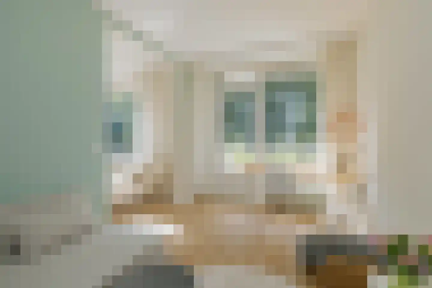 Cederstraat 59 Alphen aan den Rijn thumbnail 8
