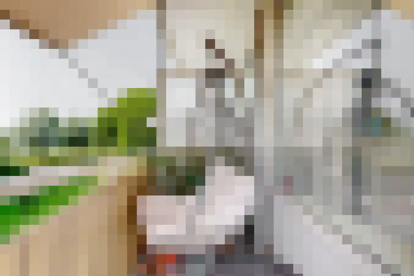 Cederstraat 61 Alphen aan den Rijn thumbnail 4