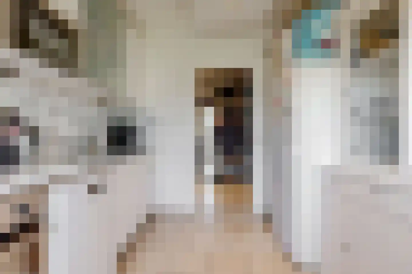 Cederstraat 61 Alphen aan den Rijn thumbnail 6