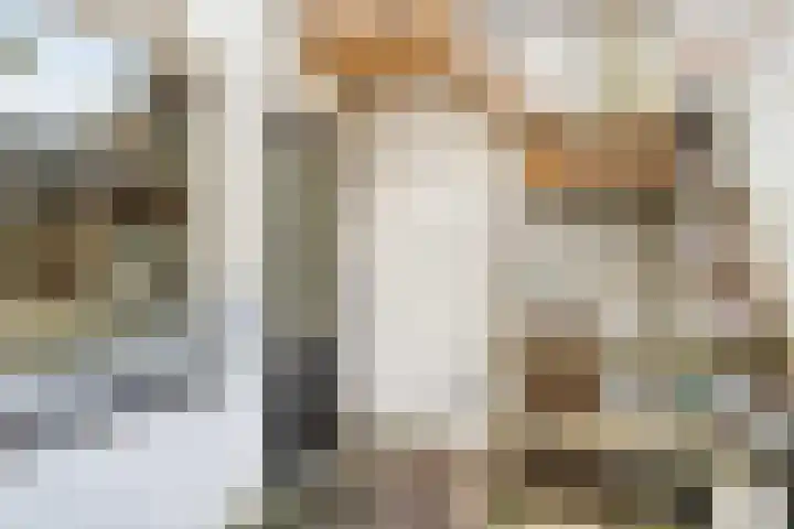 Cederstraat 62 's-Hertogenbosch thumbnail 30